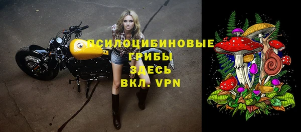 марки lsd Богородицк