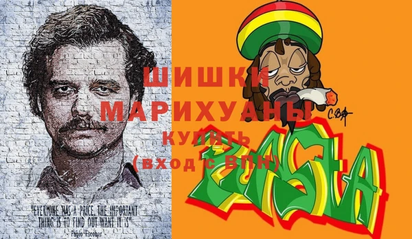 прущие грибы Няндома