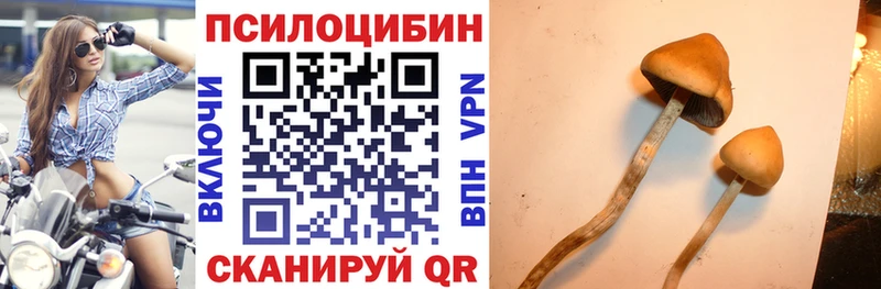 Галлюциногенные грибы Magic Shrooms  площадка как зайти  Фёдоровский 